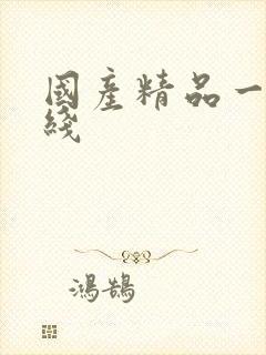 国产精品一线二线