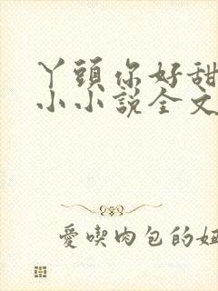 丫头你好甜慕小小小说全文免费阅读