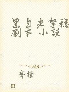 黑月光拿稳be剧本 小说