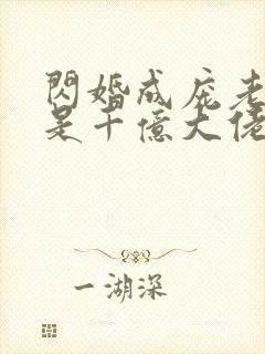 闪婚成庞老公竞是千亿大佬