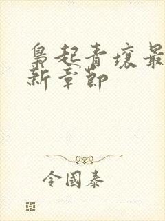 枭起青壤最近更新章节