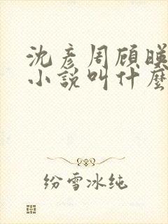 沈彦周顾映瑜的小说叫什么