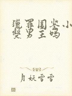 猎罪图鉴小说是双男主吗