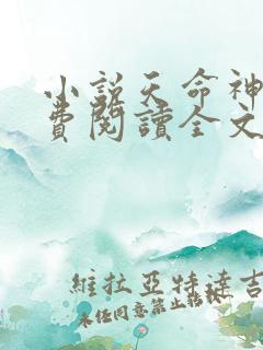 小说天命神算免费阅读全文