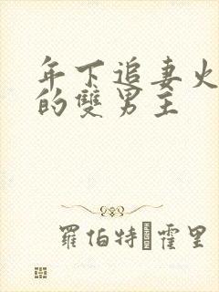 年下追妻火葬场的双男主