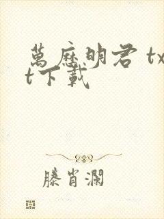 万历明君 txt下载