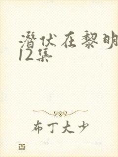 潜伏在黎明之前12集