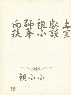 向师祖献上咸鱼扶华小说完全版