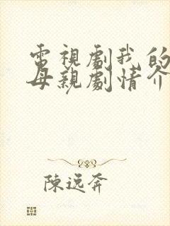 电视剧我的三个母亲剧情介绍