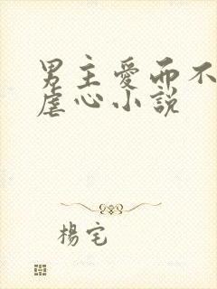 男主爱而不得的虐心小说