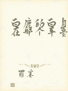 白鹿的白月梵星在哪个平台播出