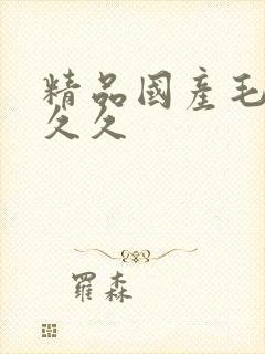 精品国产毛片久久久