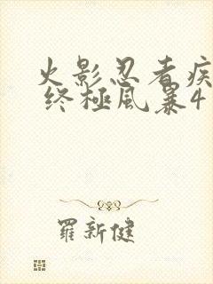 火影忍者疾风传 终极风暴4 博人传