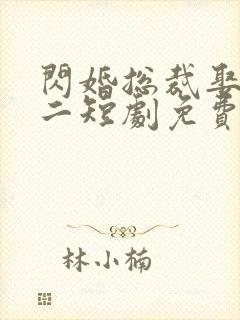 闪婚总裁娶一送二短剧免费