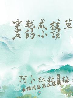 穿越成校草前男友的小说