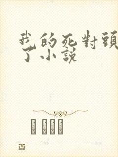 我的死对头破产了小说