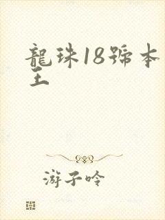 龙珠18号本子王