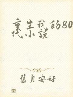 重生我的80年代小说