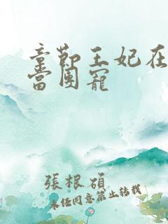 章节王妃在京城当团宠