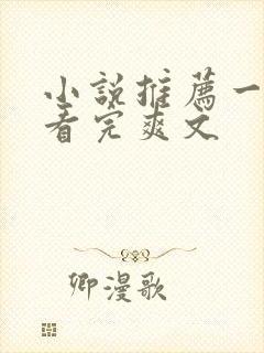 小说推荐一口气看完爽文