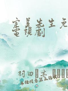 完美先生免费看电视剧