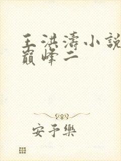 王洪涛小说权力巅峰二