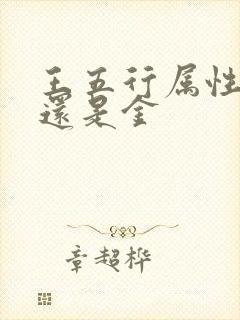 王五行属性是土还是金