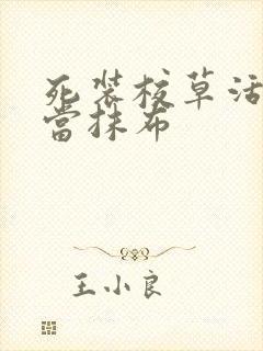 死装校草活该被当抹布