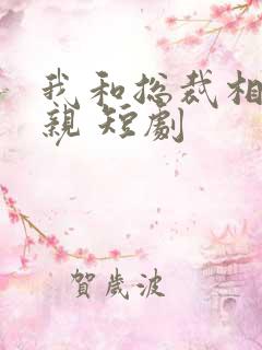 我和总裁相了个亲 短剧