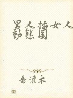 男人插女人下体动态图