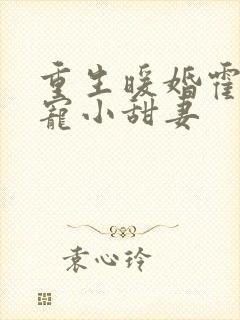 重生暖婚霍总狠宠小甜妻