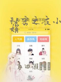 秘密之夜小说小娟