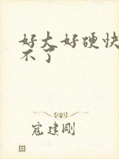 好大好硬快点受不了