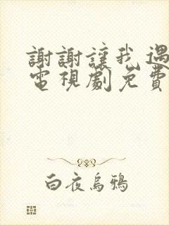 谢谢让我遇见你电视剧免费观看全集