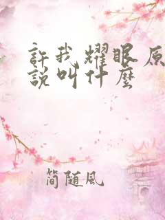 许我耀眼原著小说叫什么
