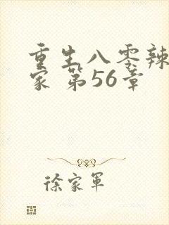 重生八零辣妻当家 第56章