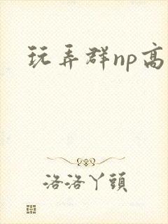 玩弄群np高h