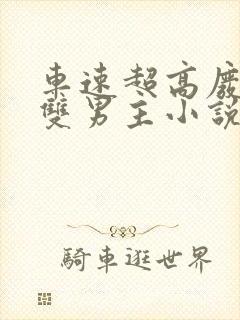 车速超高废文的双男主小说有哪些