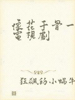 像花千骨一样的电视剧