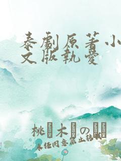 泰剧原著小说中文版执爱