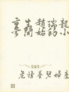 重生赵瑞龙从当爹开始的小说