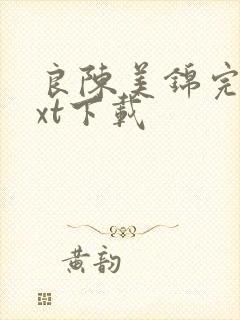 良陈美锦完本txt下载