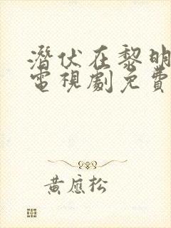 潜伏在黎明之前电视剧免费观看全集