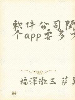 软件公司开发一个app要多少钱