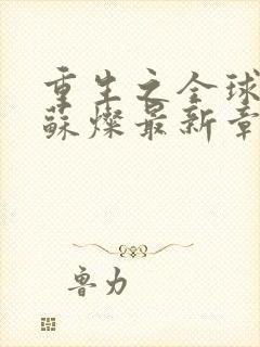 重生之全球首富苏灿最新章节