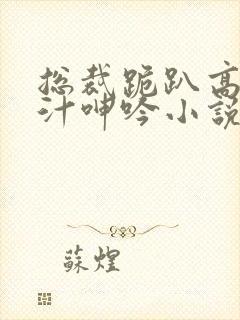 总裁跪趴高h喷汁呻吟小说