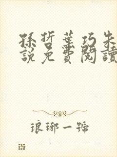 孙哲叶巧朱颜小说免费阅读