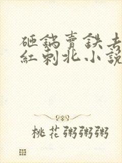 砸锅卖铁去上学红刺北小说未删版