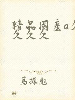 精品国产a久久久久久