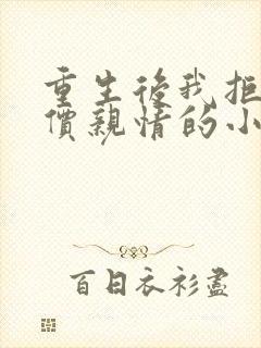 重生后我拒绝廉价亲情的小说